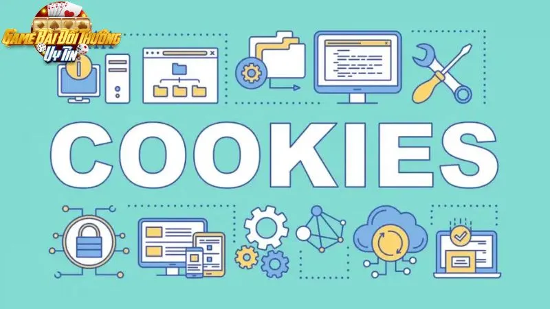Các loại cookies được sử dụng