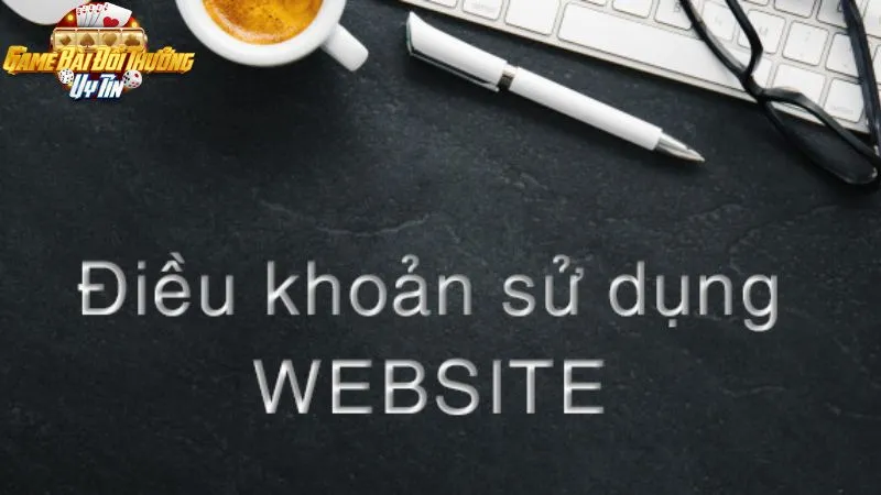 Giới thiệu chung về bộ điều khoản sử dụng của website
