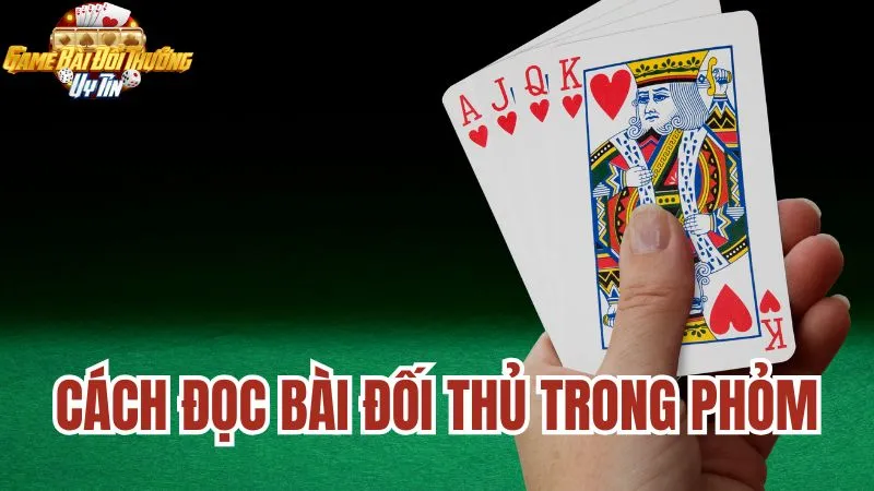 Cách đọc bài đối thủ trong phỏm hiệu quả cho các tân binh