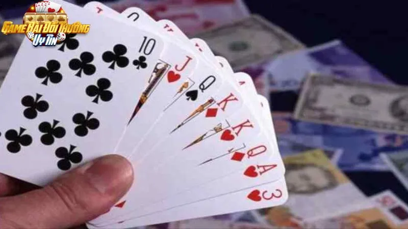 Cách đánh phỏm rắn: Bí quyết chơi hiệu quả để chiến thắng