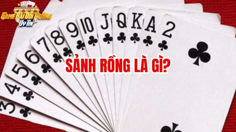 Giải mã Sảnh Rồng là gì? Tìm hiểu về tổ hợp bài mạnh nhất